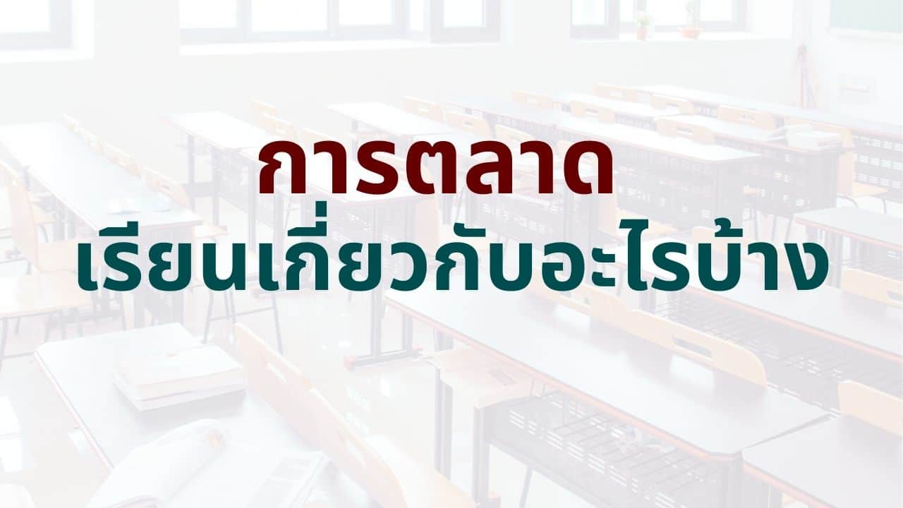 การตลาดเรียนเกี่ยวกับอะไรบ้าง? ตอบทุกคำถามของมือใหม่ - Thai Winner