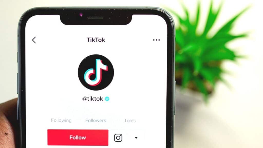 คนดัง tiktok