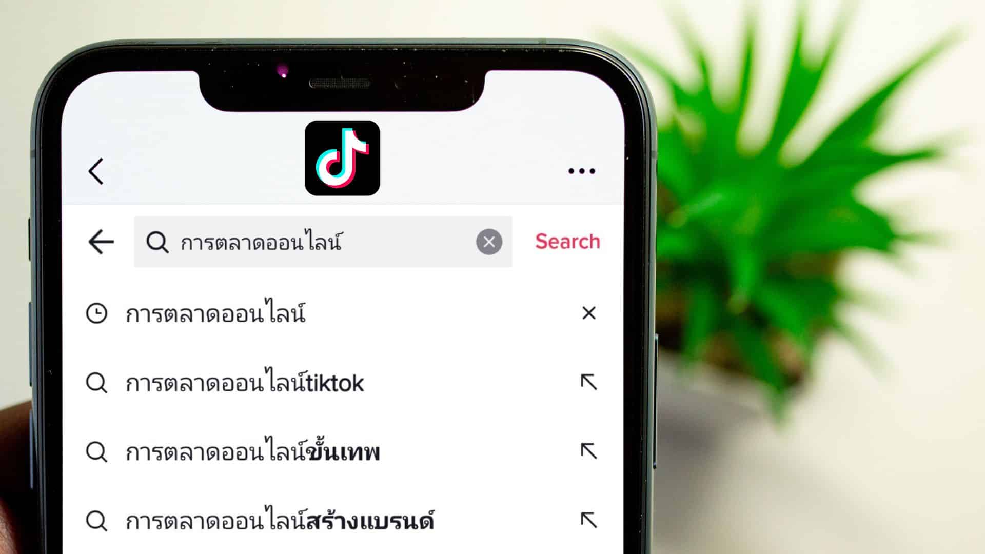 วิธีทำ TIKTOK SEO ให้คนค้นหาวิดีโอสั้นเราได้